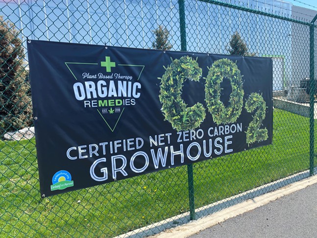 What Happens When a Marijuana Company Commits to Being Green (5)
