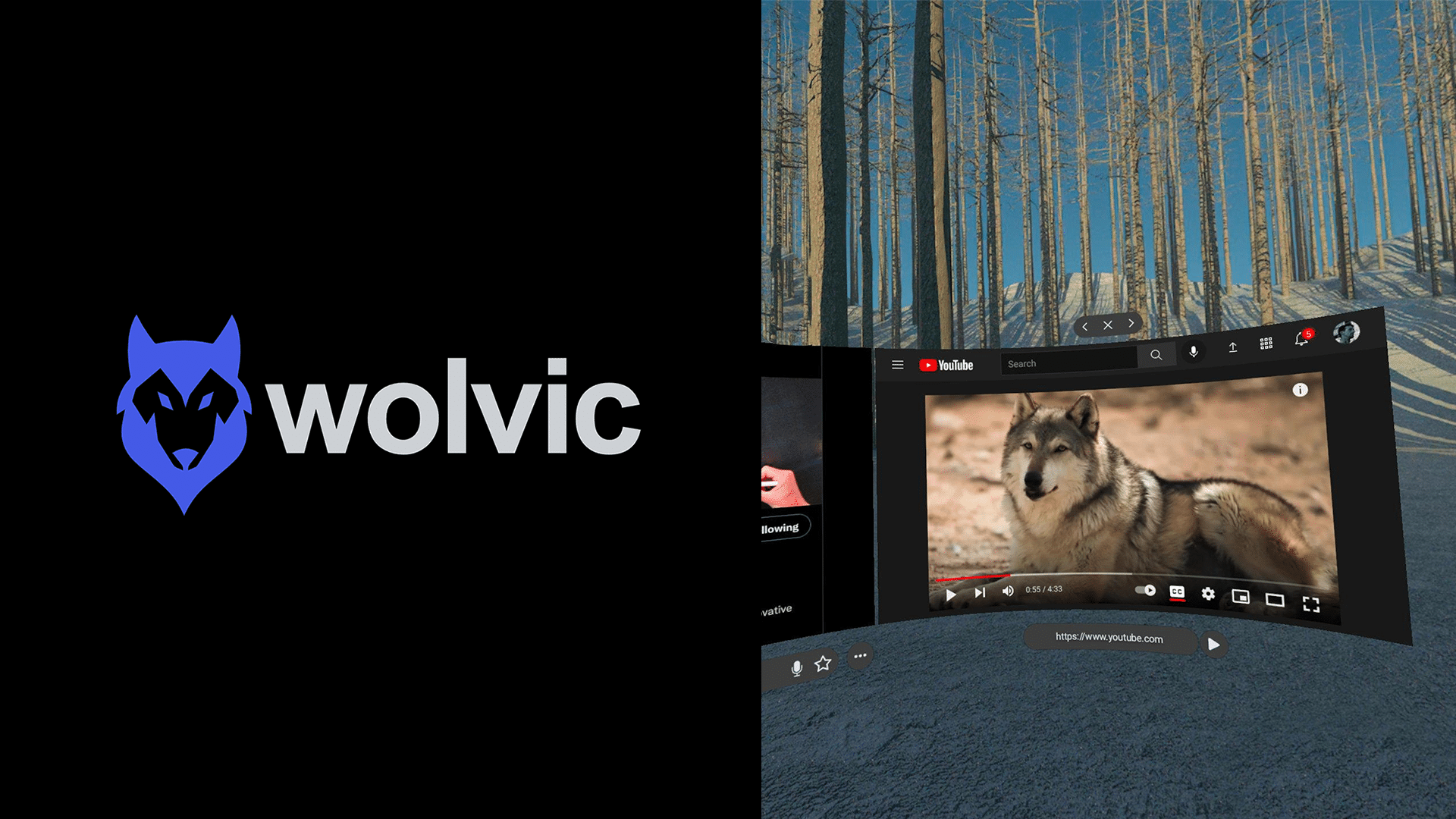 Wolvic WebXR Browser Switches To Chromium For Performance