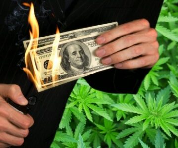 9 мільярдів доларів доходу та 2 мільярди збитків - чому індустрія марихуани може ніколи не приносити прибуток інвесторам