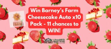 Une promotion de graines de cannabis au fromage avec Barney's Farm