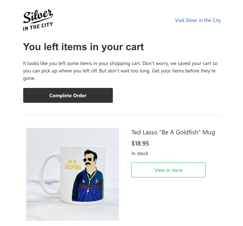 Abandoned Cart Email Sent by Silver in the City