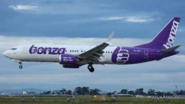 Le compagnie aeree dicono allo staff di Bonza che saranno prese in considerazione per dei ruoli