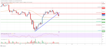 Bitcoin Price Analysis: BTC Could Rally Unless This Support Gives Way | Live Bitcoin News