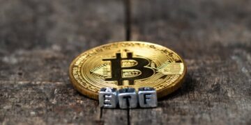 Bitcoin Spot ETFs Now Control Over 1 Million BTC - Decrypt