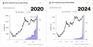Bitcoin Whale Signal Echoes Pre-480% Surge In Mid-2020