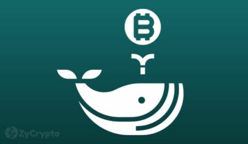 Bitcoin Whales erhverver næsten $1 milliard BTC midt i prisstagnation