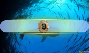 Bitcoinowe wieloryby zgromadziły w ciągu jednego dnia BTC o wartości 2.8 miliarda dolarów: CryptoQuant