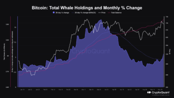 Bitcoin Whales’ Buying Appetite Returns, On-Chain Data Shows