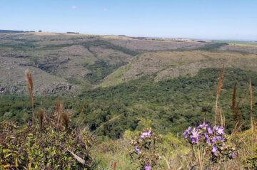 Brasil: Reservas Particulares do Patrimônio Natural, inclusive na Zona Urbana de Curitiba.