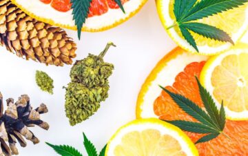 Can lemon-smelling weed cause less anxiety than others?