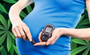 Can Taking CBD While Pregnant Cause Glucose Intolerance in Male Offspring But Not Female Children?
