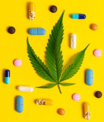 Cannabis vs. Pharmaceuticals: A Head-to-Head Comparison for Common Ailments