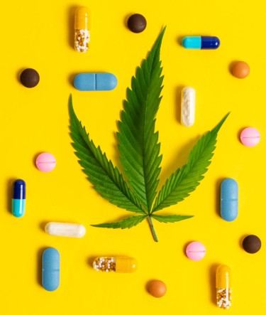 cannabis vs pharma drugs