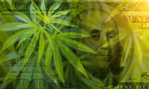 Consumer Spending Validates Marijuana Rescheduling