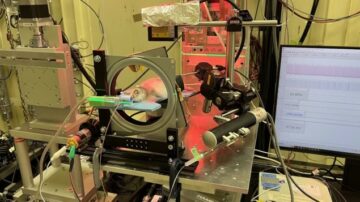 Dunkelfeld-Röntgenbildgebung zeigt Potenzial einer Gentherapie mit Nanopartikeln – Physics World