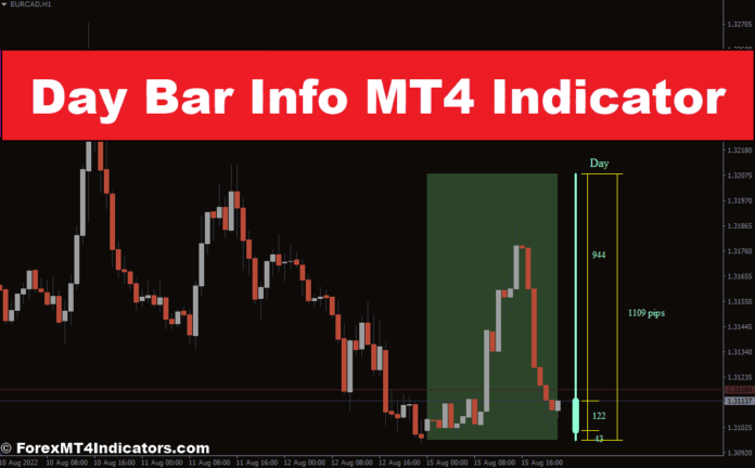 Day Bar Info MT4 Indicator