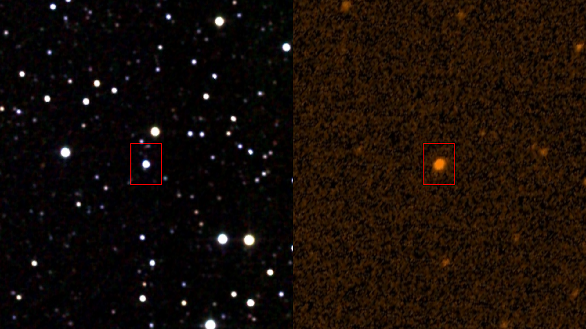Image of Tabby's Star in infrared and ultraviolet.