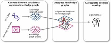 Fujitsu introduces "explainable AI" for use in genomic medicine and cancer treatment planning