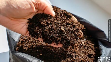 should_use_potting_soil_in_grow