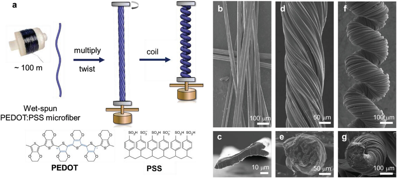 High-performance artificial muscles made from pure conductive polymer fibers