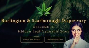 How Did Hidden Leaf Cannabis Become the Leader of the Ontario Marijuana Market?