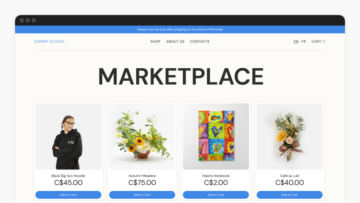 How Ecwid's Accessible Online Store Template Became a Hit