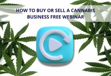 Come acquistare o vendere un'attività nel settore della cannabis: la riproduzione del webinar