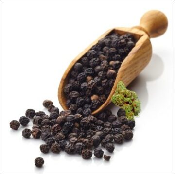 Is the Solution to High-THC Products and Potent Marijuana Strains Good Old-Fashioned Black Pepper?