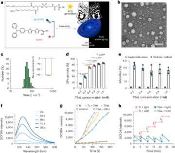 Janus liposozyme for the modulation of redox and immune homeostasis in infected diabetic wounds - Nature Nanotechnology