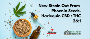 New Phoenix strain launched – Harlequin CBD (CBD:THC 26:1)