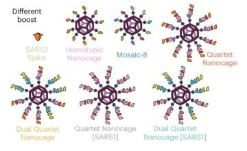 Noul vaccin Quartet cu nanocaje arată promițător împotriva variantelor de coronavirus