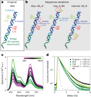 Single-molecule fluorescence multiplexing by multi-parameter spectroscopic detection of nanostructured FRET labels - Nature Nanotechnology