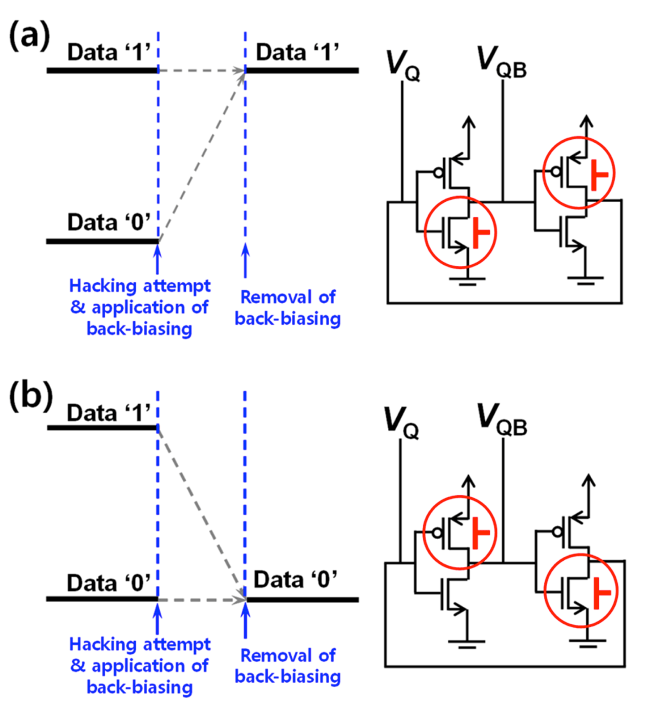 Fig. 1: Asymmetric forward back-biasing scheme for permanent erasing. (a) All the data are reset to 1. (b) All the data are reset to 0. Whether all the data where reset to 1 or 0 is determined by the asymmetric forward back-biasing scheme. Source: KAIST/Creative Commons [2]