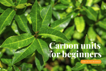 Sustainability simplified II: Carbon units for beginners
