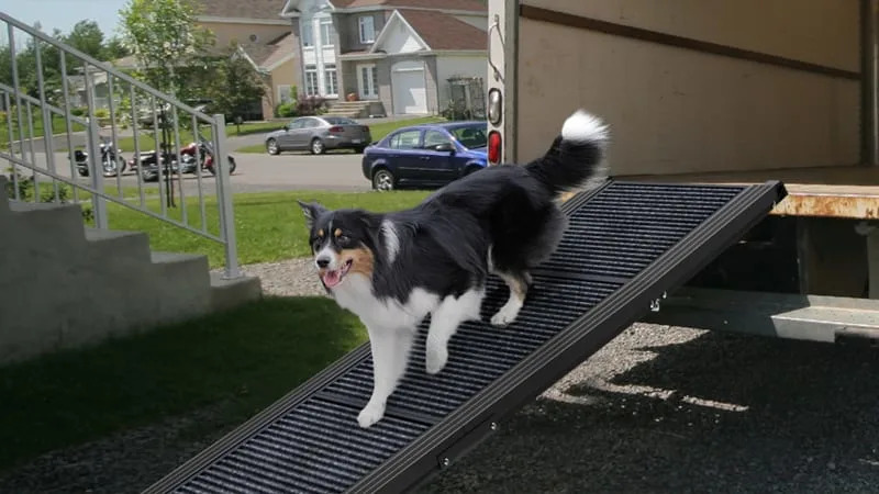 HerCcreta Dog Ramp for Car 3