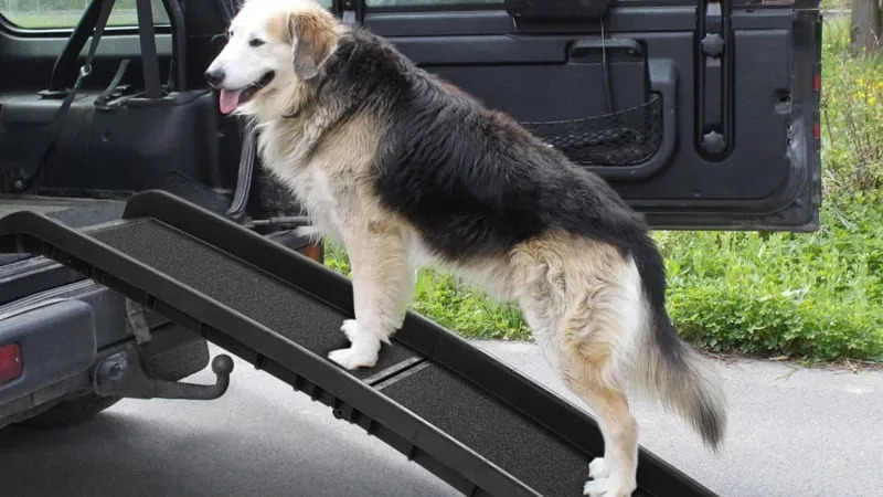 Coziwow Bi-fold Portable Dog Ramp for Large Pet 1