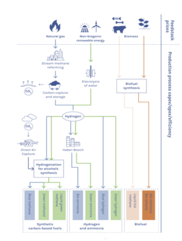 L'enigma dell'idrogeno verde - Edizione sulla decarbonizzazione marittima | Gruppo Cleantech