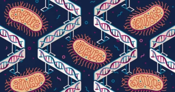 Kayıp Çok Hücreli Prokaryotların Gizemi | Quanta Dergisi