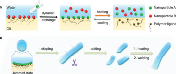 Termisk svetsning av vätskor med nanopartikeltensider (w/video)