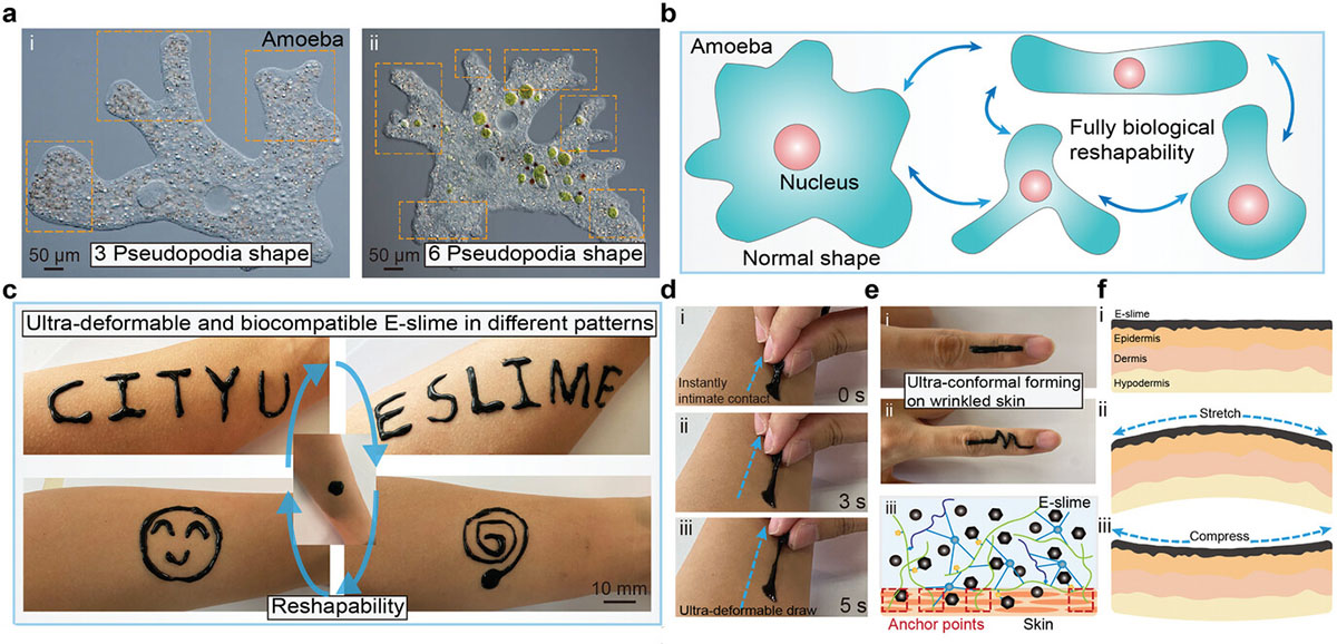 properties and applications of amoeba-inspired E-slime