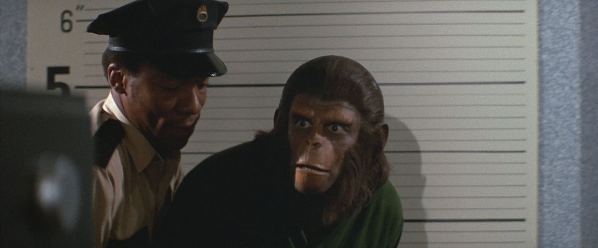 A shocked ape being held by a police officer in front of a mugshot background in Conquest of the Planet of the Apes.