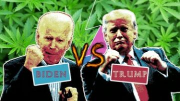 Той, хто легалізує траву, виграє президентські вибори? - Демократи подали законопроект про легалізацію марихуани, але республіканці не погоджуються, що тепер?
