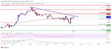 XRP Price Consolidates, Gearing Up for Its Next Major Breakout