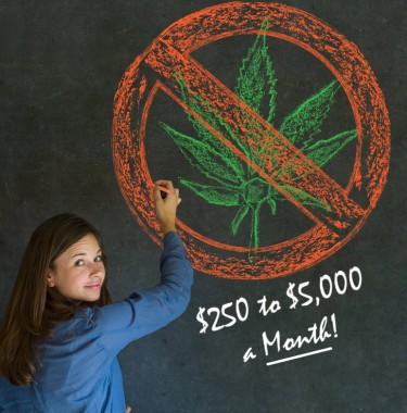 You Can Now Give $250 to $5,000 a Month to Fight Marijuana Legalization and Keep Weed as a Schedule 1 Drug