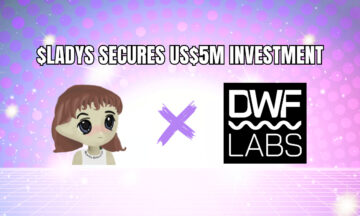 Milady Meme Coin Secures US$5 Million Investment from DWF Labs - Crypto-News.net