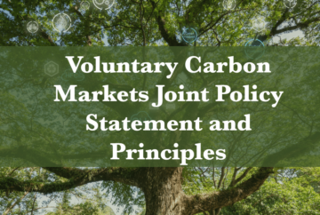 US Government Releases New Voluntary Carbon Credit Market Policy Guidelines